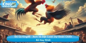 Đá Gà King88 - Xem Và Đặt Cược Dự Đoán Chiến Kê Hay Nhất