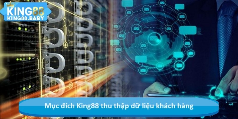 Mục đích King88 thu thập dữ liệu khách hàng